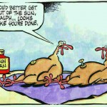 funny thanksgiving turkey cartoon