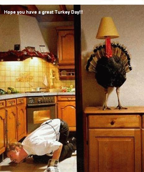 thanksgiving hide turkey