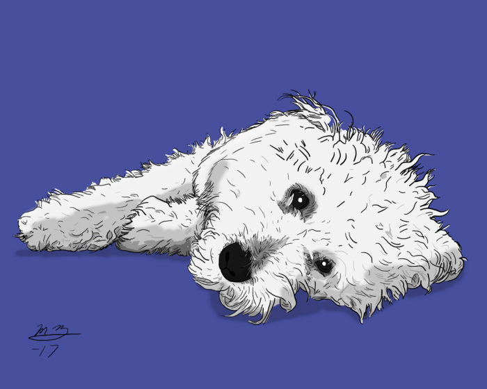Puppy Portrait