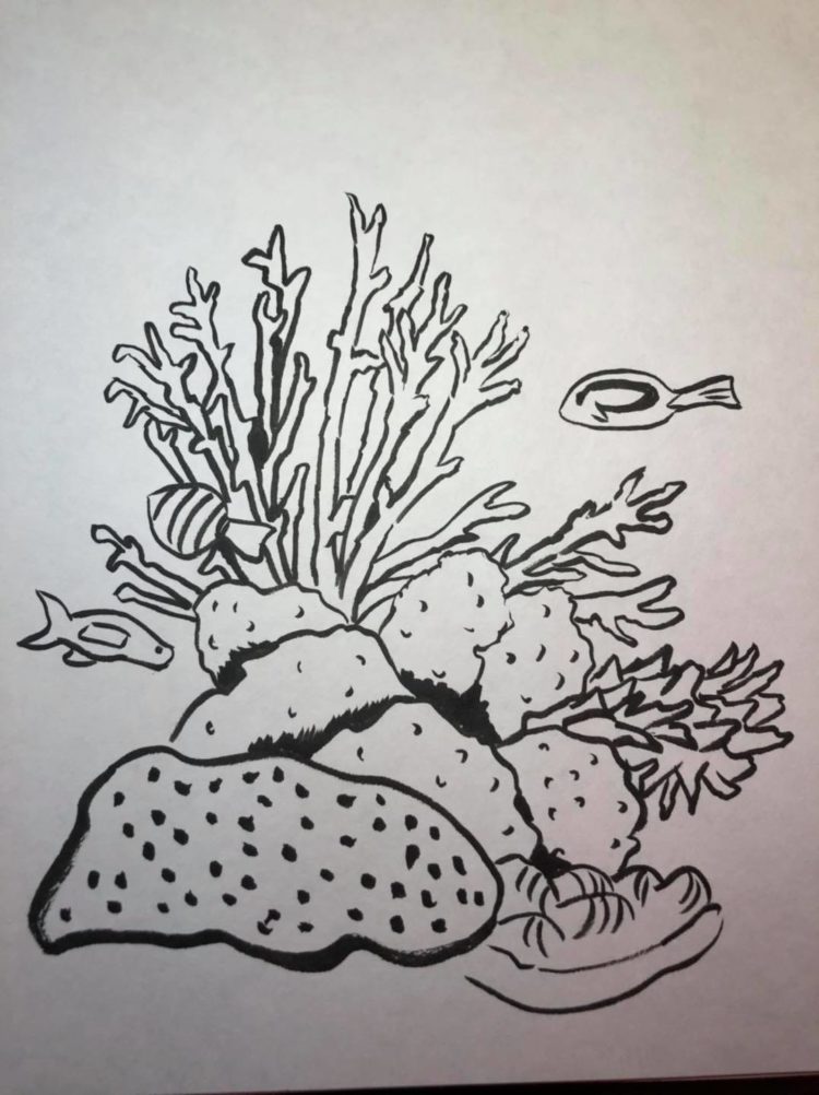 Inktober Day 20 Coral